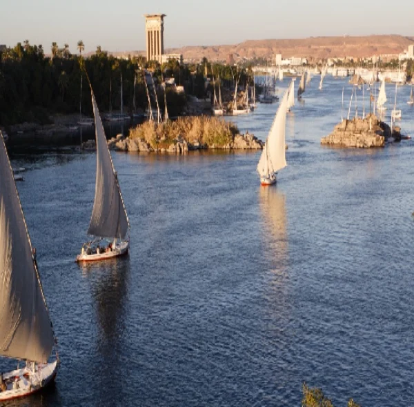 Top 1 Day Tour in Aswan