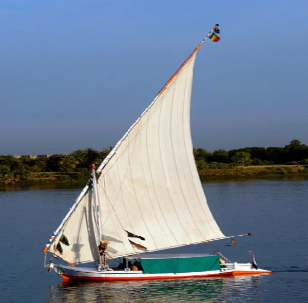 Top 1 Day Tour in Aswan