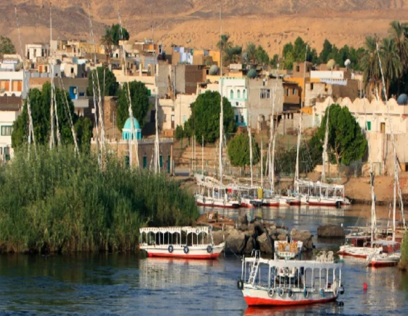 "Top 1 Day Tour in Aswan: Botanical Garden, Tombs of the Nobles & Sandboarding on Barbar Island"